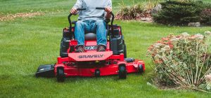 First Mowing of Your Lawn in Spring