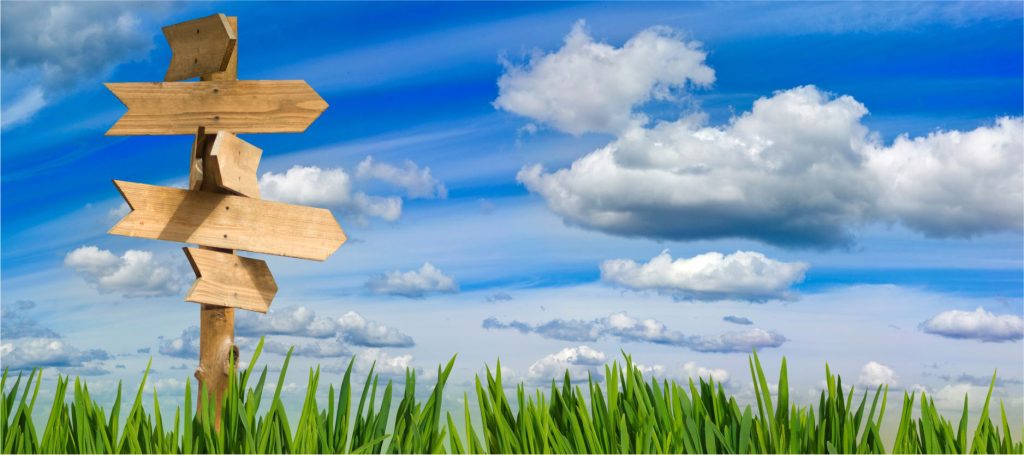 Your Guide to Finding the Perfect Lawn Mower in Brooksville: Choosing the Right Type for Your Florida Yard