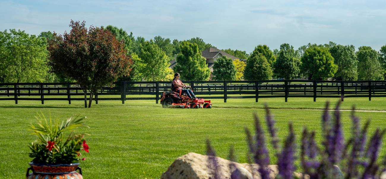 Homeowner mowing his lawn during a bright afternoon with a gas mower.
